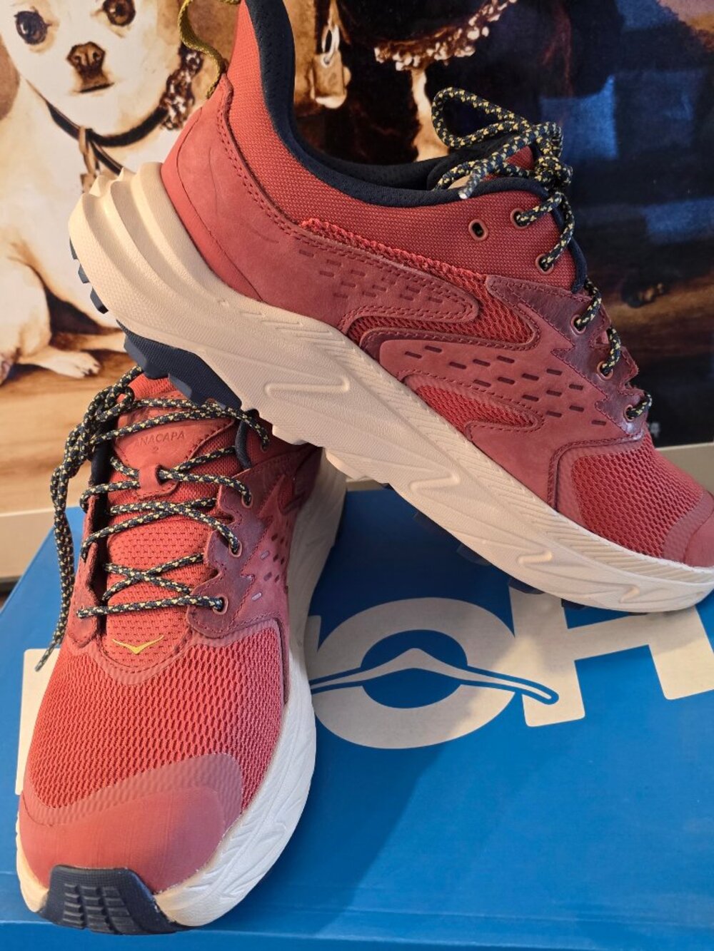 HOKA One Anacapa 2 Low GTX Waterprof Hiking Shoes~Mens 12~NEW~Gore-Tex~1141632